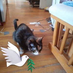 Meet your Posher, Susan